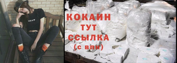 таблы Богородицк
