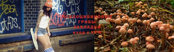 таблы Богородицк