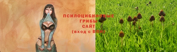 таблы Богородицк