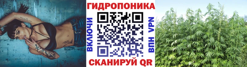 как найти   Нытва  Шишки марихуана сатива 